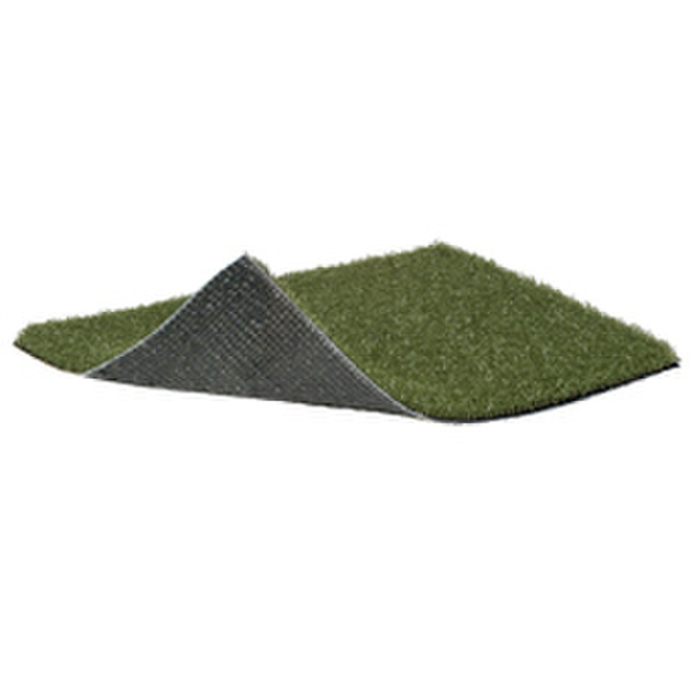 Outdoor & Indoor Turf