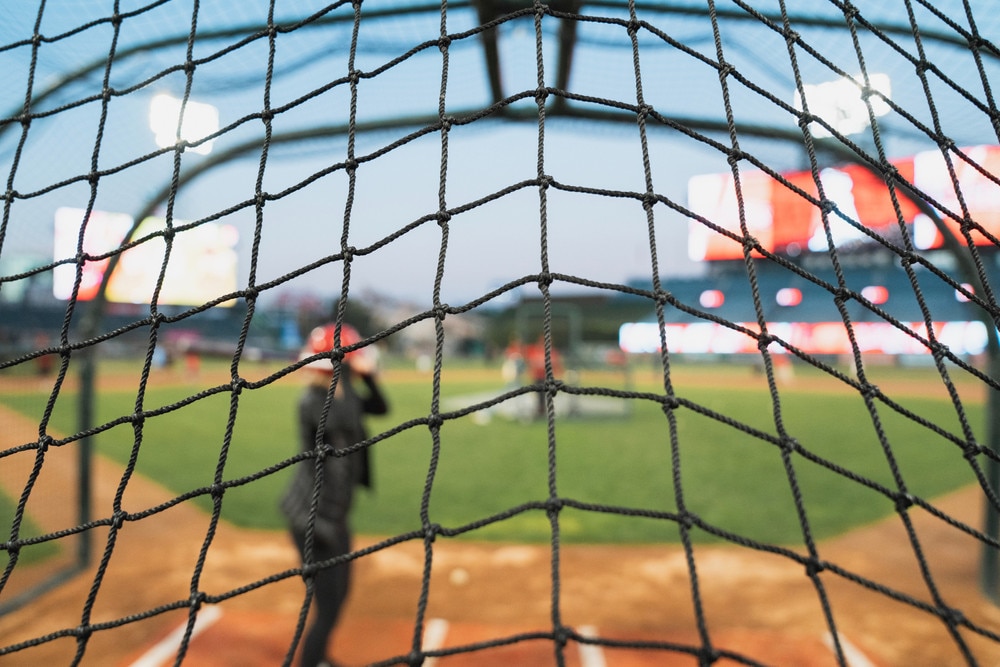 Custom Baseball Nets