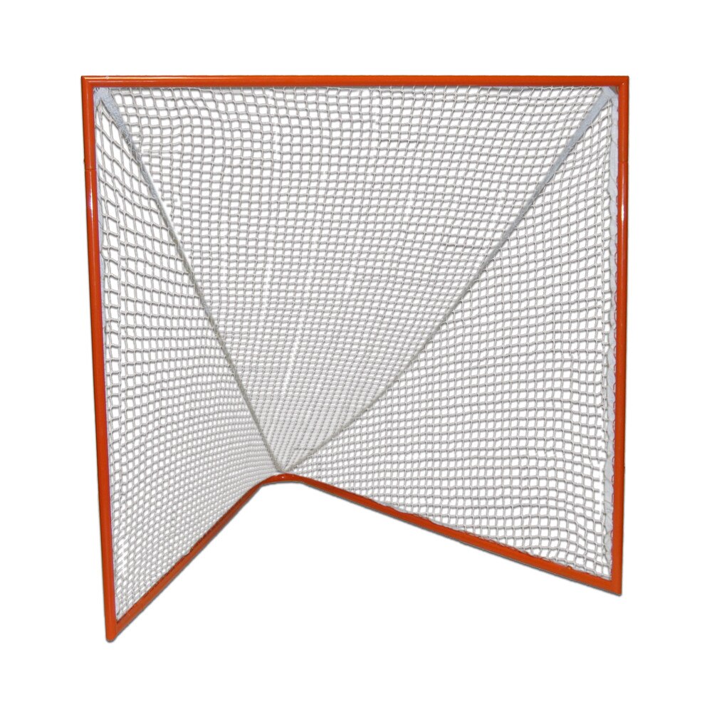 Lacrosse Practice Goal