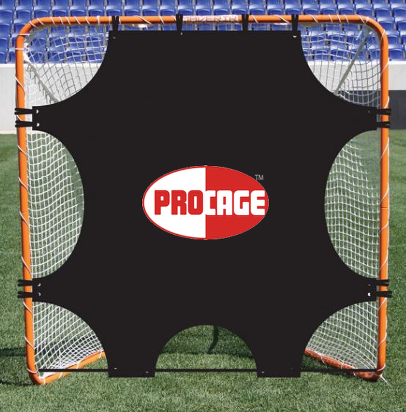 Lacrosse Ball Target