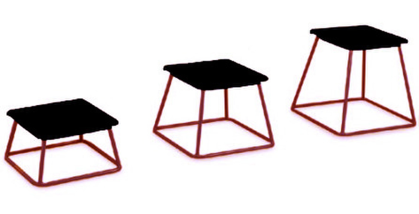 24" Agility Training Boxes