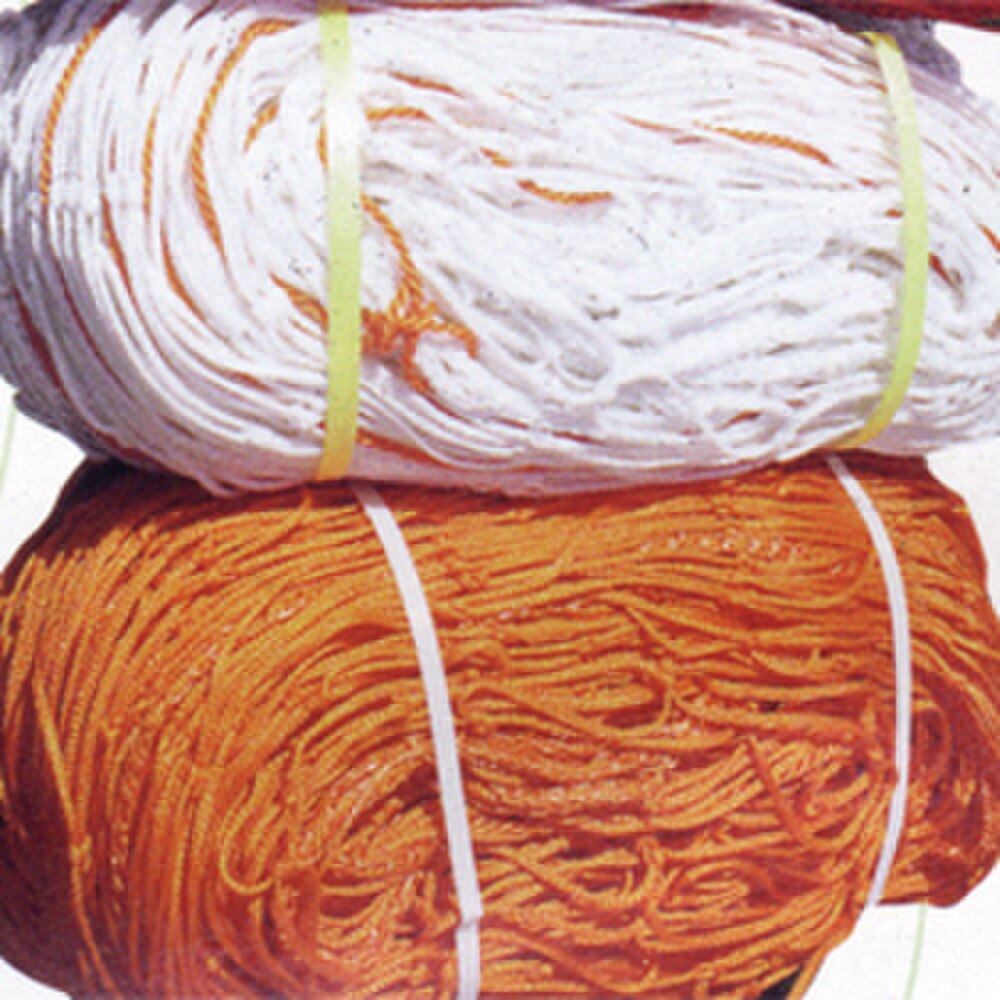 Orange & White Soccer Net